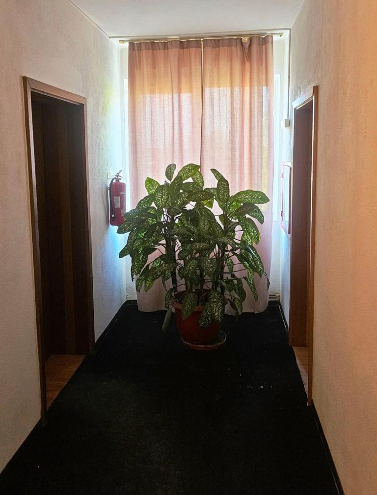 Casablanca Pansiyon Craiova Dış mekan fotoğraf